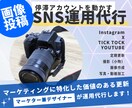 対応SNS３種可能！画像投稿SNS運用を行います Instagram、X、TikTok対応 イメージ1