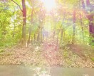 記憶力の覚醒セッションを行います 記憶力の向上により人生が楽になり、実り多き人生を歩めます！ イメージ6