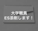 大学職員の自己PR・志望動機（ES）を添削します 書類選考通過率100%の筆者が直接添削！改善案も提案します！ イメージ1