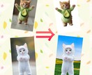 画像/写真の白抜き・切り抜き爆速で仕上げます お届け日数 1日（予定）　 ファイル形式 JPG / PNG イメージ1