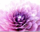 アカシックリーディング☆前世の情報を読み解きます ～使命目的・仕事・才能開花・宿命と運命☆前世からのテーマ～ イメージ2