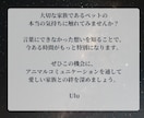 アニマルコミュニケーション｜魂と対話します 亡くなった子も可能。過去世や相性、エネルギー解析もできます イメージ7