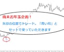 私達が増やしているR:R1：2の「青い鳥」使えます 皆の結果に差異無！値動きの流れに追随出来る道具をお渡しします イメージ3