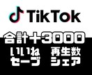 あなたのTikTokの動画をバズらせます いいね、再生数、セーブ、シェアを合計3000増加させます！ イメージ1