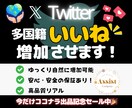 X(旧Twitter)の多国籍いいねを増やします 期間限定で1月15日まで特別価格にて出品中！ イメージ1