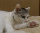 複雑に絡んだ問題を四柱推命と周易で占います 急なアクシデントや長年の問題、それは後天運のなせる業かも？ イメージ3