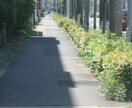 背景や広告に！商用OKな風景写真素材を提供します ブログ・SNS・動画背景に！商用利用可能の風景写真をお届け！ イメージ4