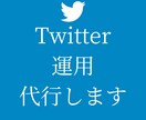 中小企業さん必見！あなたのTwitter運用します 初心者さんOK！アカウントの開設〜運用まで代行いたします イメージ1