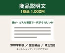ECの商品説明文を1,000円で書きます 1商品300字｜ネットショップ・フリマ対応 イメージ1