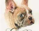 名前入り┊おしゃれなペットの似顔絵を水彩で描きます ┊犬・猫・うさぎ・小動物・鳥さんもOK ┊原画納品 イメージ2