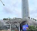 シンガポールの販路開拓、ビデオチャットで提供します 「シンガポールに売れる可能性を本音で評価します」 イメージ2
