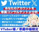 VTuber専用！Twitter,Xコンサルします 準備中様やVライバー様も◎必要な運用等３日間解説！質疑応答◎ イメージ1