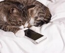 月額4400円　お得な格安SIM教えます 月々4400円！　格安SIMを探しているあなたへ！ イメージ1