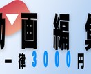 ゲーム動画・実写動画編集致します あなたの動画編集させてください イメージ1