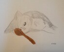 SNSアイコンのイラスト描きます ほんわかゆる〜い色鉛筆イラストで個性を出そう イメージ1