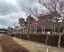 介護相談承ります 介護についての相談、愚痴を聞きます。 イメージ1
