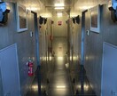 寝付きが悪い方へ、睡眠催眠を掛けさせていただきます 現役催眠術師が行う米軍式睡眠方と予備催眠を掛け合わせた睡眠法 イメージ1