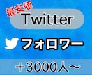 最安値Twitterフォロワー3000人増やします 最短即日納品も可能！！30日間の補償あり！ イメージ1