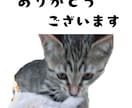 ペット写真からLINEスタンプ16個セット作ります ☆大切なペットをオリジナルLINEスタンプに イメージ3