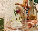 頑張っている女性の悩みを聞きます 悩みを持つ女子たちに寄り添って解決へ イメージ1