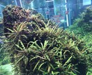 ５往復★誰にも言えないお気持ちお聴きします 気軽な気持ちで、心に抱えた荷物をおろしてみませんか イメージ1