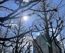 介護のお困りことを解決します 認知症介護をやり続けてきた介護福祉士が相談にのります イメージ1