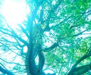 人間関係や仕事、人生の悩み。批判なしでお聴きします 悩みを話して思いを整理して前に進むきっかけの時間にしましょう イメージ10