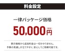 販促デザイン歴20年超のプロが集客LPを作成します 「売れる見せ方」を設計。広告バナー付ですぐにLP運用可能。 イメージ4