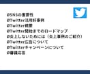 上級SNSマネージャーがTwitter運用教えます 初心者でも安心！Twitter運用スキルが身につく！ イメージ2