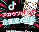 TikTokのコンセプト設計と動画企画を提案します プロの運用代行者がTikTok運用をサポートします。 イメージ1
