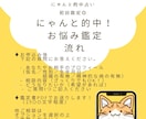初回限定◎にゃんと的中！お悩み鑑定いたします 総実績100名さま限定！本音と現実を整え次の一歩を後押し⭐︎ イメージ5