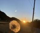 普段撮れないような景色写真を提供します 全てiPhoneで撮らせて頂いています。 イメージ9