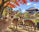 関西発あなたを元気にします なんでも聞いてや一緒に喋ろな笑おな待ってまっせ毎度おおきに。 イメージ8