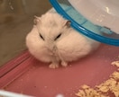 相談、愚痴聞きます。どんなものでも聞きます 誰でも、なんでも、思ってること吐き出していこう。 イメージ3