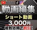 ショート動画編集します 基本的にどんな編集でも最短で届けます!無料修正無制限! イメージ1