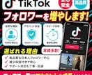 TikTokフォロワー増やします テストプレイ中なので安くしています! イメージ1
