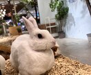 愚痴、お悩みなんでもお話し伺います 介護職14年の経験者があなたの悩みに寄り添います。 イメージ4