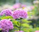 必要な写真素材を撮影します ホームページや資料用の素材を、代わりに撮影し納品します。 イメージ2