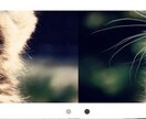あなたのサイトにスライダーを導入致します スライダーあるなしでサイトの質が変わります。 イメージ4