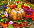 11月の運気を占います 年末に近づく11月。貴方に訪れる流れは？？ イメージ1