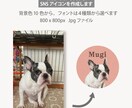 ペット写真SNSアイコンをセミオーダーで制作します 色とフォントが選べる！うちの子写真で現役デザイナーが制作 イメージ3