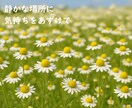 気を遣いすぎて疲れたHSPさんの想いを受け止めます 誰にも言えない想いをそっと手放せる安心の時間です イメージ8