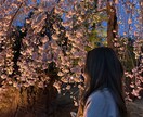 恋愛相談、女の子の落とし方現役女子大生が教えます おじLINEになりたくない人、女性の気持ちが知りたい人 イメージ3