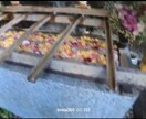 恋愛祈願　最愛の方とのご縁結び代理参拝いたします 恋愛のエネルギーを高め彼とのご縁を強めます！ イメージ7