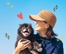 アニマルヒーリングで大切な家族を癒し声を届けます 遠隔でチャクラ・波動・癒しのヒーリングで整えます イメージ1