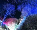 余白削除と文字入れをします 写真を送っていただくだけで余白削除と文字入れ等をします！ イメージ1