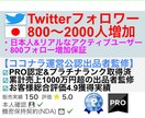 Twitterで日本人フォロワー800人増やします フォロワーが800人以上増加！SNSブランディング&拡散宣伝 イメージ1