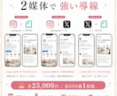 SNS2媒体からLPへ誘導 運用代行します SNS2媒体 各週1投稿でLP誘導 月額25,000円 イメージ2