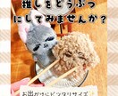 動物体ぬいちゃん作ります カップルセール中！身長差も作れます♪推しを動物にしてみない？ イメージ1