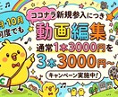 丸投げOK！ショート動画作成します 今だけ！現役クリエイターによる動画をお試し価格で イメージ1